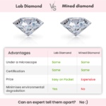 GDLR0579_1_5813cfd4-c3a2-4555-b89d-f4a2615c58ae