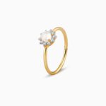 GDLR0256_1_f873068d-5bd6-4036-b191-c9c59be80bc6